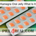 Kamagra Oral Jelly What Is It 27